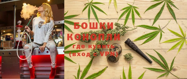 Альфа ПВП Ельня