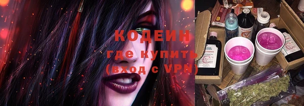 Альфа ПВП Ельня